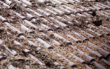 Ayshford roof cleaning companies